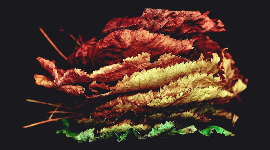 Tech-Guide Binh Exploring 2026