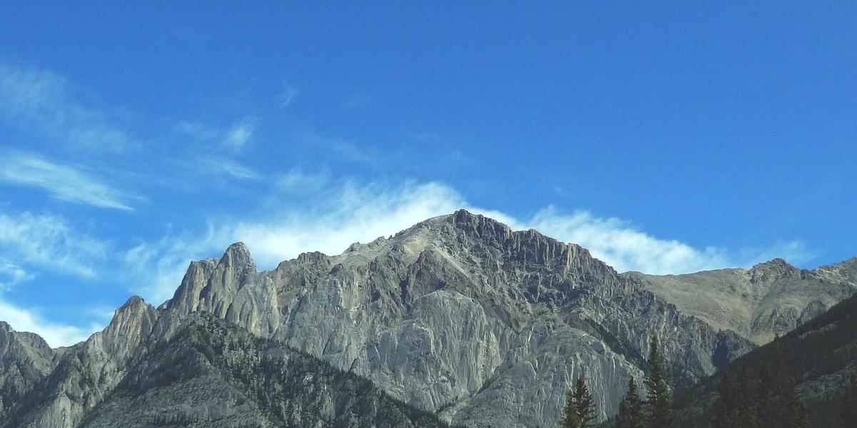 Cánh đồng hữu cơ carbon thấp 2026