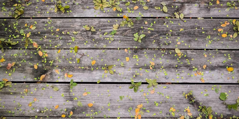 Zero Knowledge Circuit Simulation