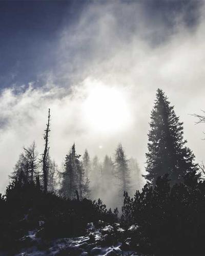 Sauvignon Blanc 2026