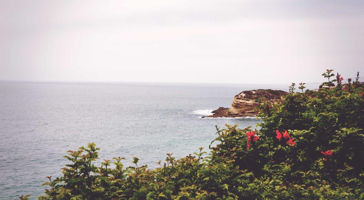 Công nghệ Salmon-Log Blockchain 2026