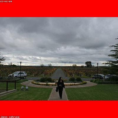 Wynns Coonawarra