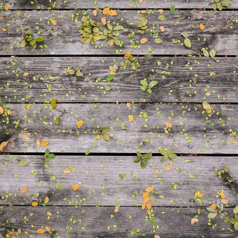 Túi Xách Da Cầm Tay Đính Đá Sang Trọng 4