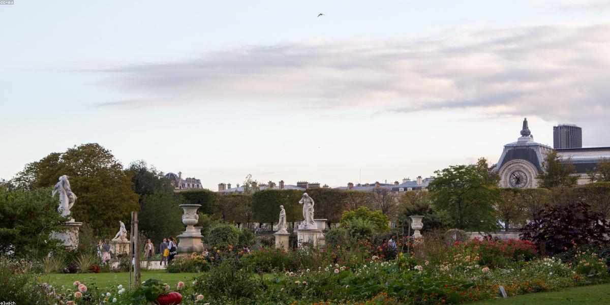 Cloud Infrastructure AI