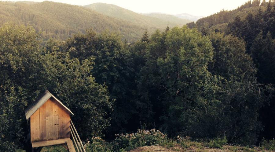 Siêu tự động hóa AI 2026