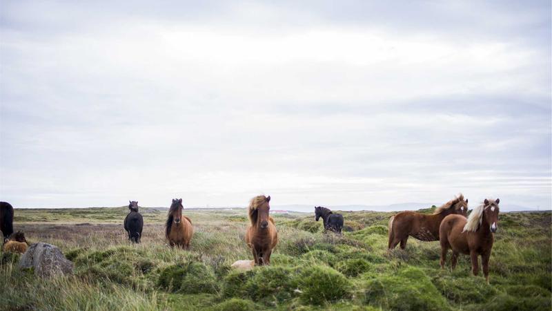 Digital Performance Excellence