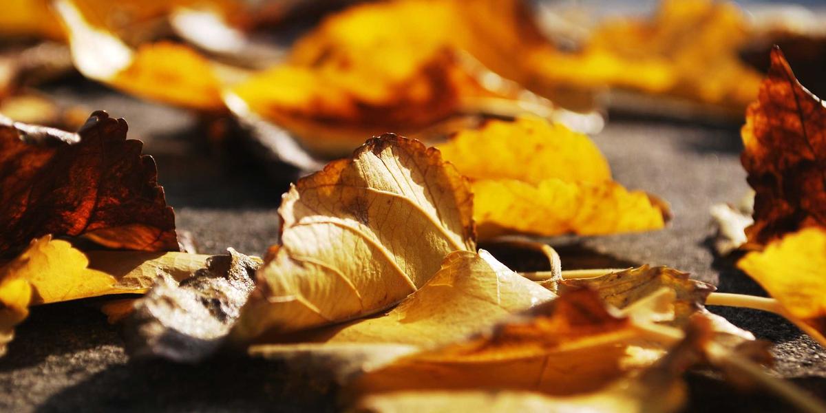 AI vs Manual Coding Hero Image