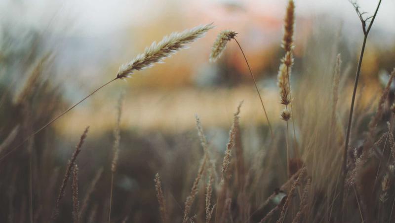 Lưu trữ quần áo trong không gian thoáng đãng