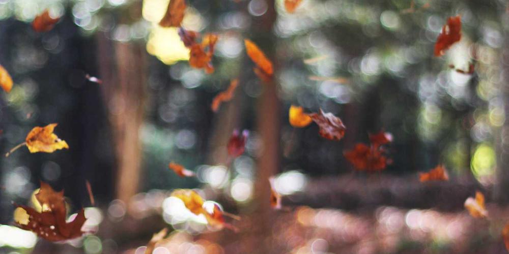 Heritage Hotel Interior 2026