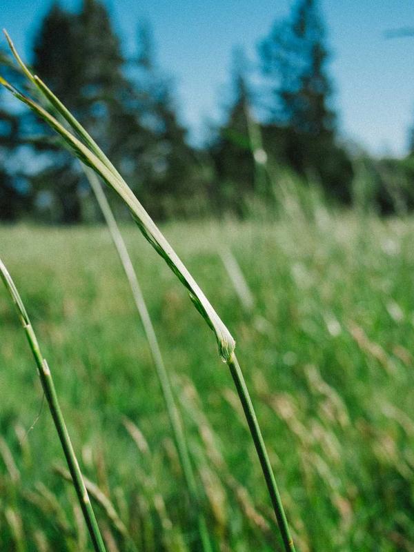 AI Generator Concept