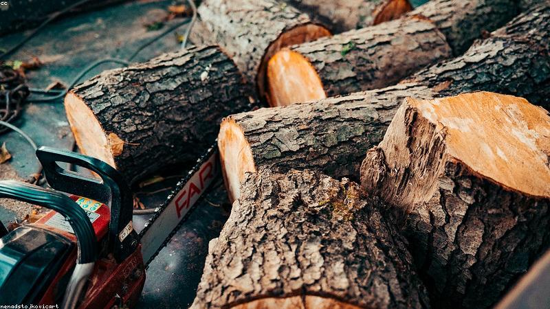 Nghệ nhân WoodCraft VN đang chế tác gỗ thủ công