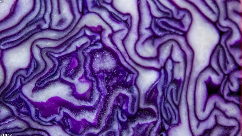 Phân tích dữ liệu giáo dục