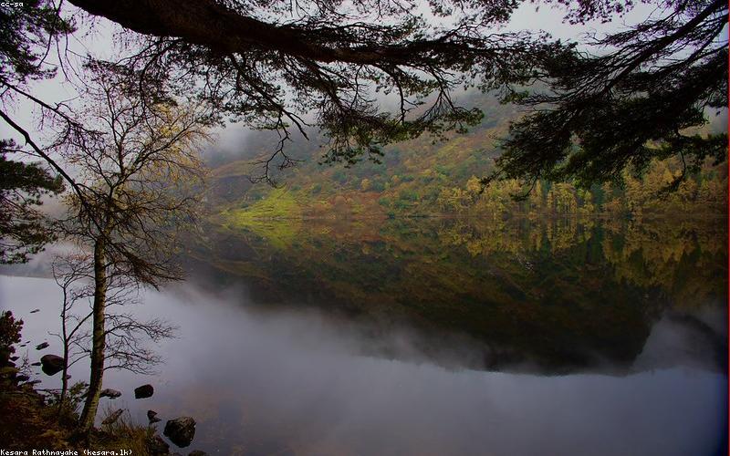 Kim cương hồng hiếm