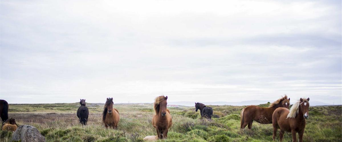 Tác động của sóng não trong năm 2026