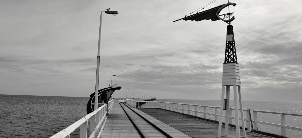 3D Medical Illustration HMU Project