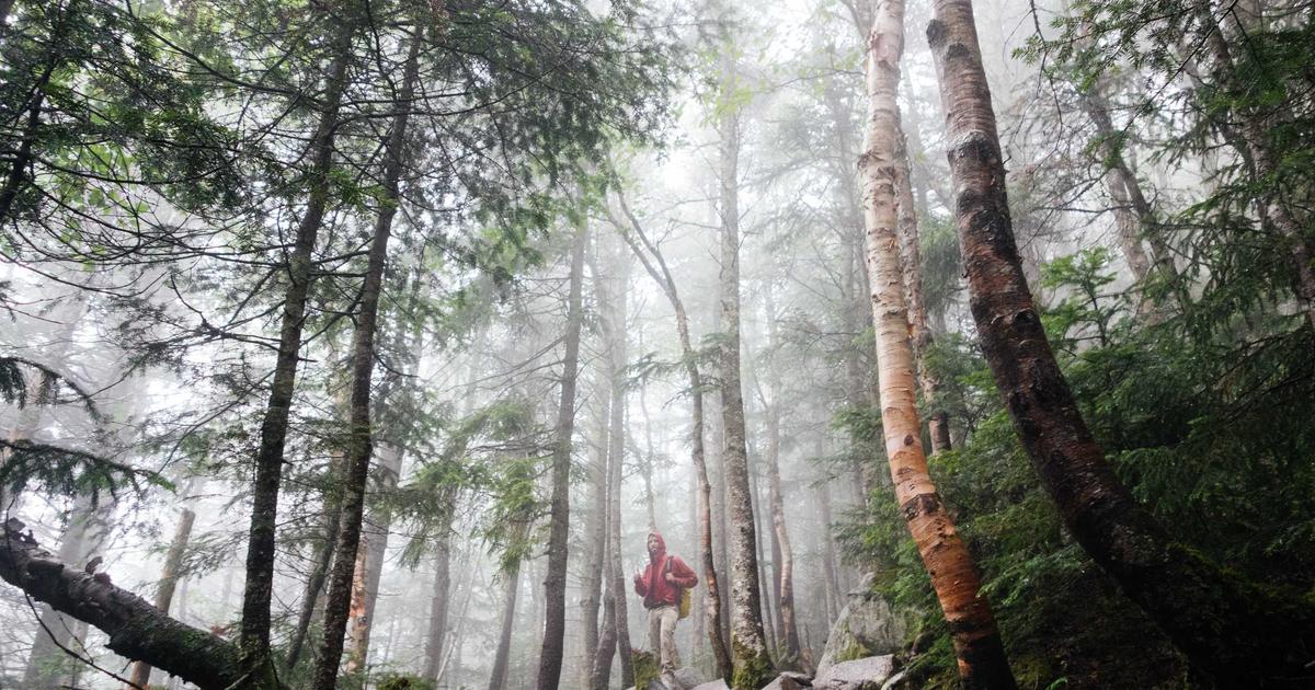 Hướng dẫn thiết kế website tự động toàn diện chuẩn SEO từ A-Z với BrandGens