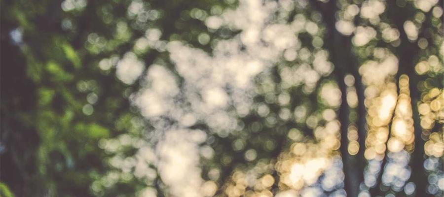 Coding and Education