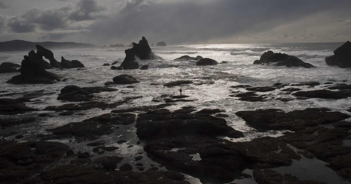 Top xu hướng chụp ảnh gia đình kết hợp thú cưng đang dẫn đầu năm 2024