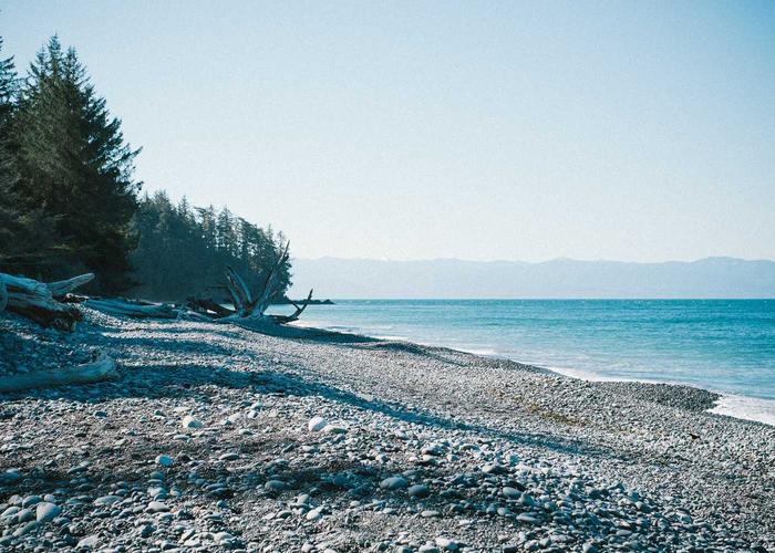 Project Citrus Zenith