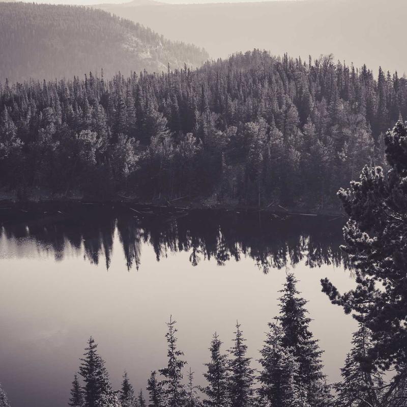 Áo Sơ Mi Nam Cotton Oxford Cao Cấp