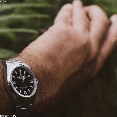 Rolex Oyster Perpetual