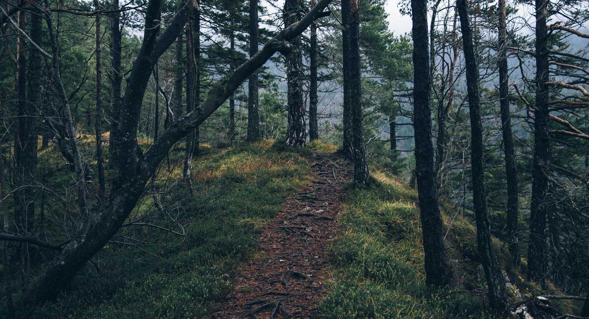 Handcrafted movement 2026