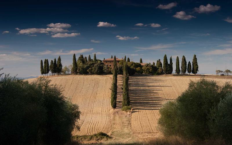 Bó hoa cưới đồng nội mùa hạ 2026