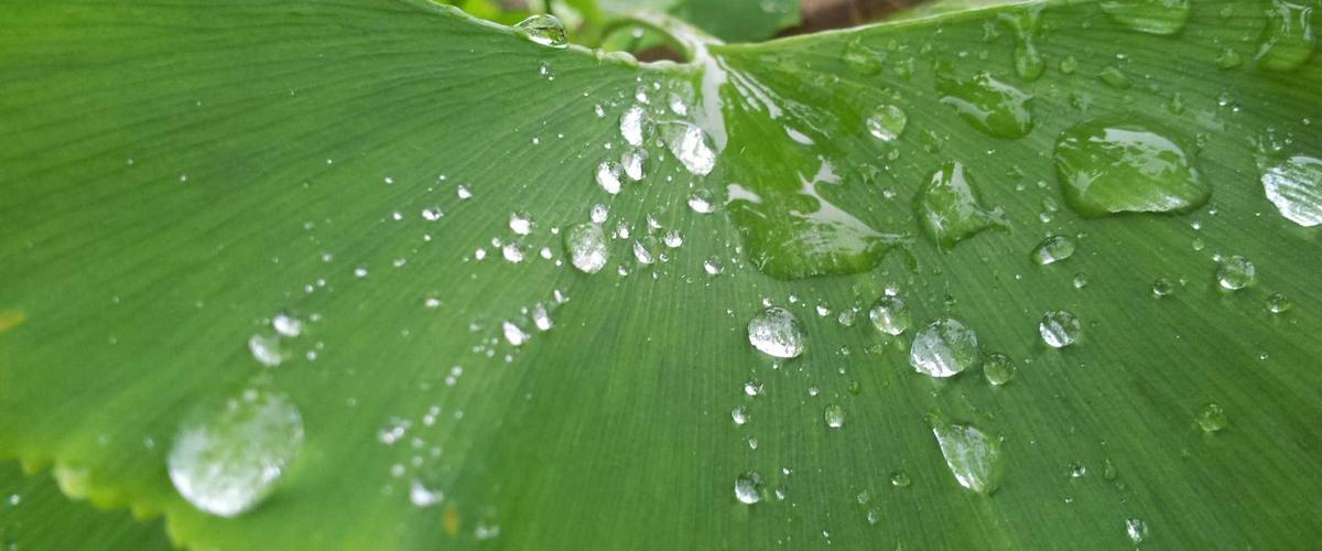 Không gian Cigar Lounge 2026