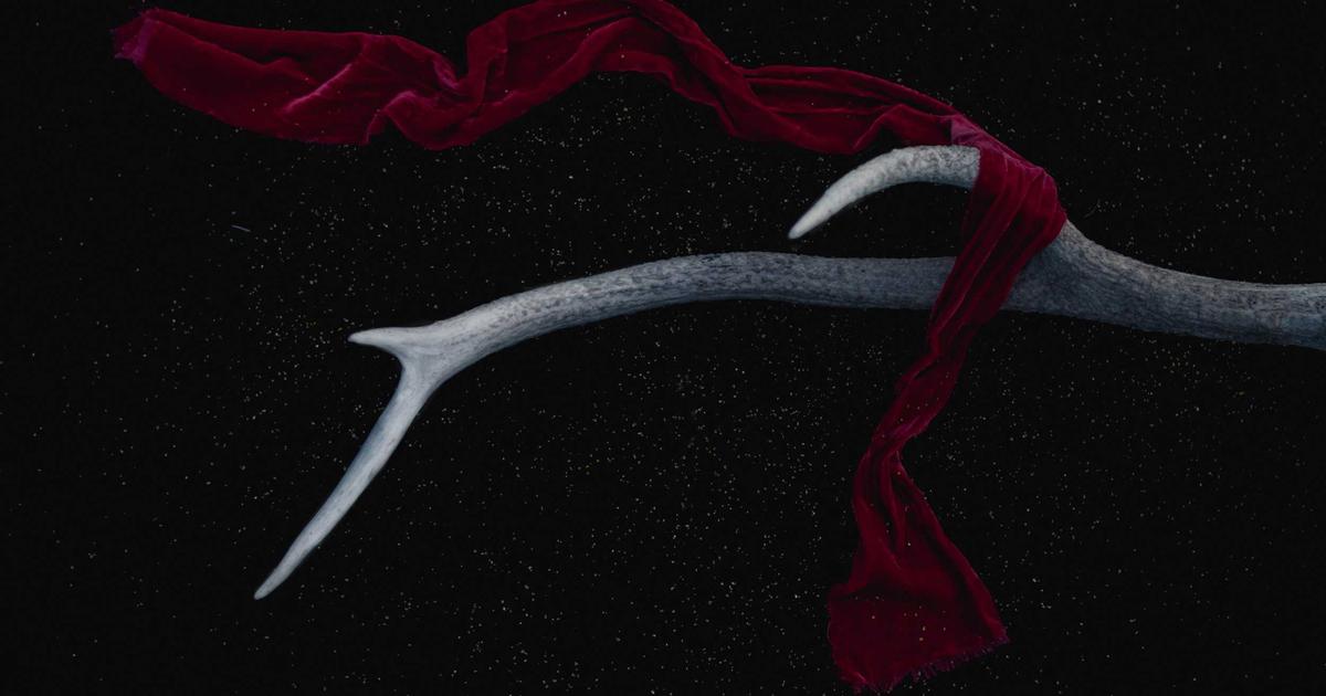 Xu hướng thiết kế website bằng AI 2024: Cách BrandBoost định hình tương lai ngành công nghệ