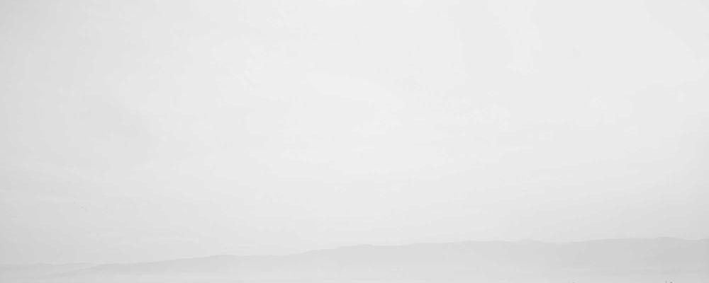 Final Review BrandGens