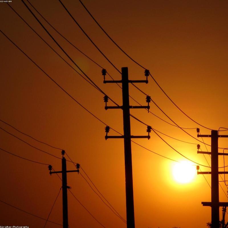 Bộ Tranh In "Sen Trắng Tinh Khôi"