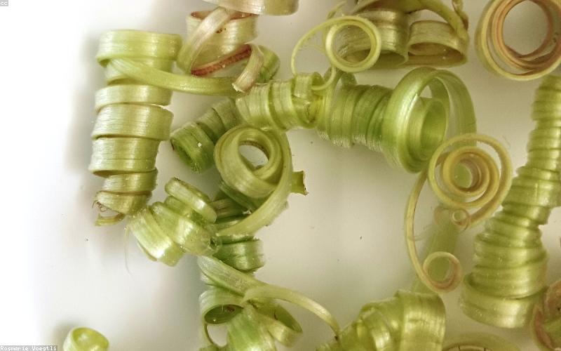 Quá trình phác thảo thủ công