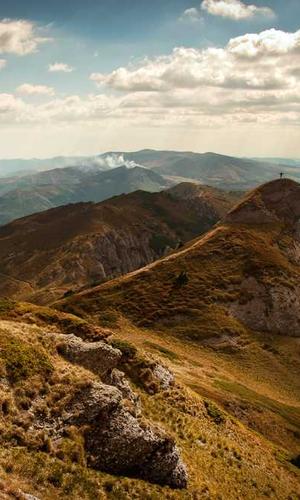 Trí tuệ nhân tạo