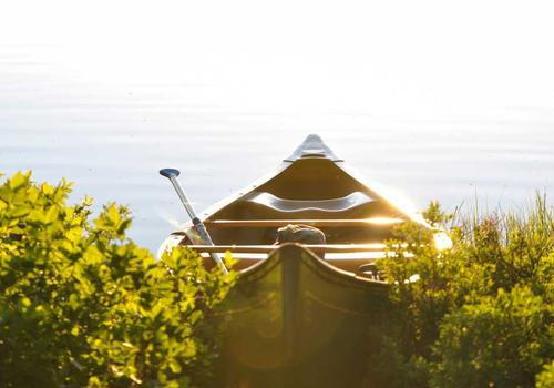 Damaged nail structure 2026