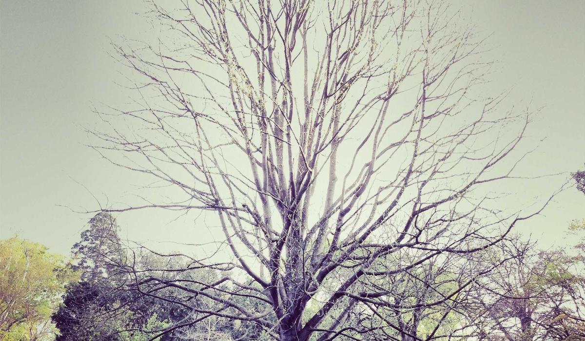 Kỹ nghệ chế tác thủ công 2026