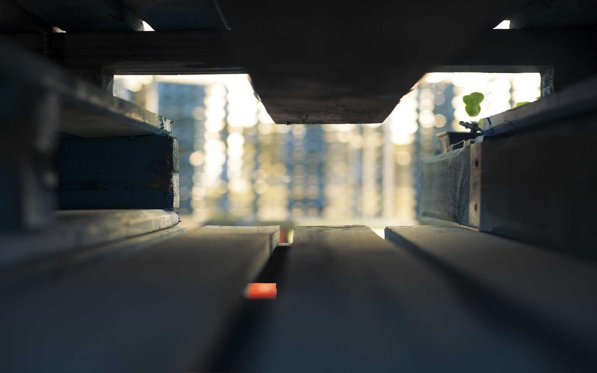 Cấu trúc ty thể dưới áp suất nén