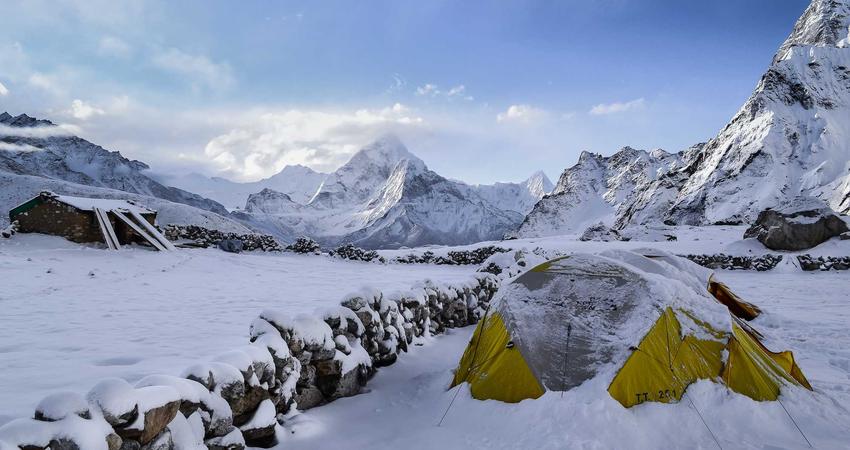 Cấu trúc dệt kim AI 2026