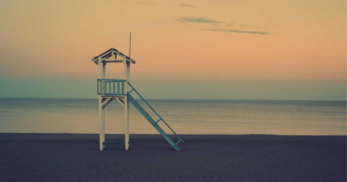 Sôi động Triển lãm Pet Expo 2024: Quy tụ hơn 500 thương hiệu và 10.000 lượt khách tham quan ngày đầu