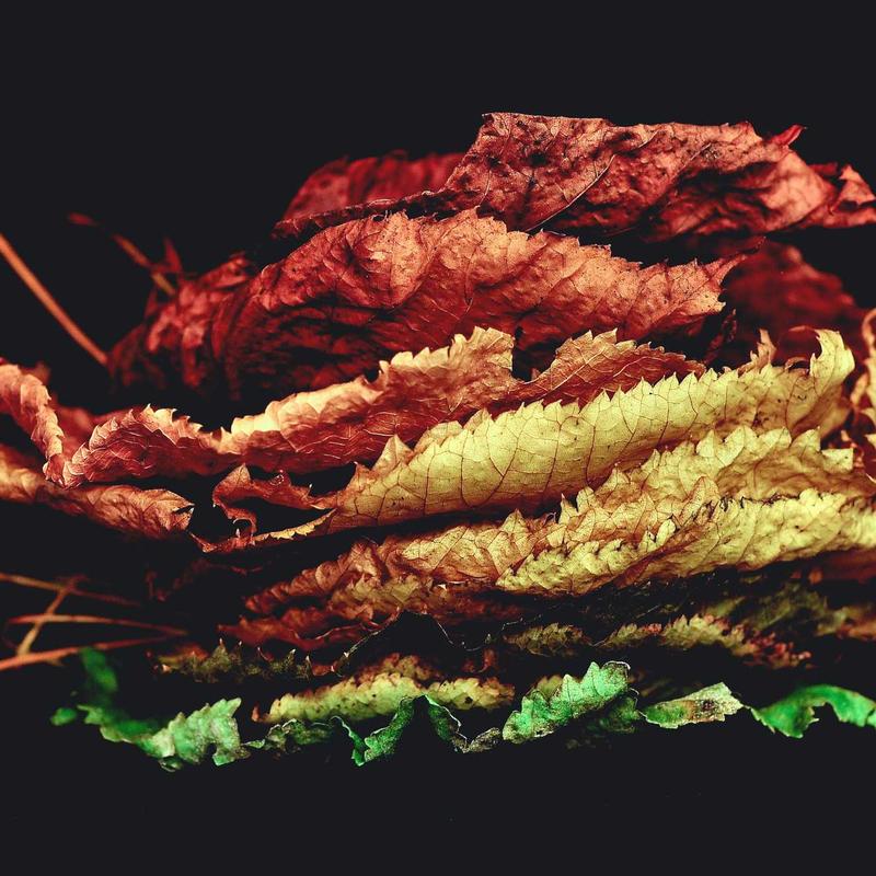 Áo Sơ Mi Nam Oxford Classic 3