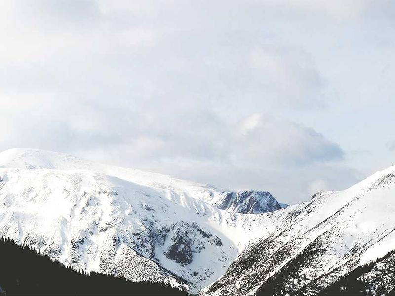 Chuẩn bị phần ăn chuyên nghiệp