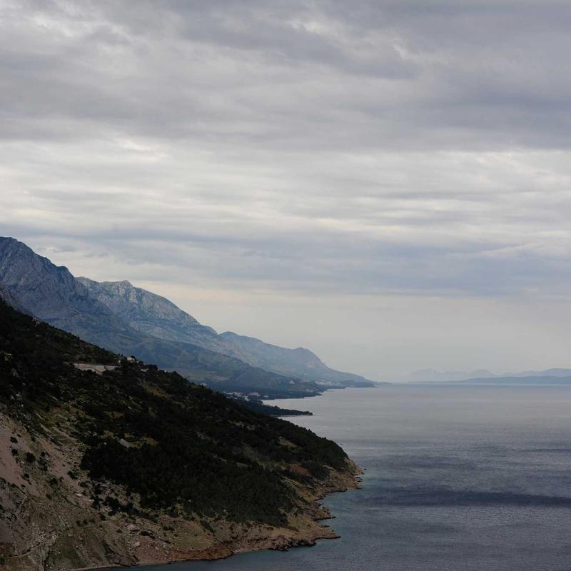 Mật Ong Bạc Hà Lên Men Thảo Dược 2026 2