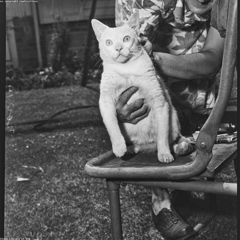 Đồng Hồ Treo Tường Roman Luxury