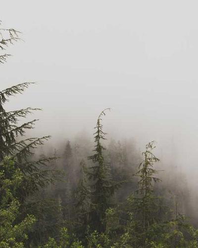 Sourdough Focaccia 2026 Art