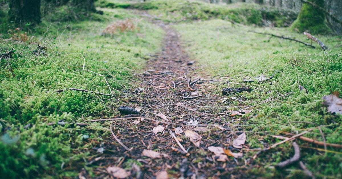 Kinh Doanh Homestay 2024: Đừng Chỉ Bán Phòng, Hãy Bán Trải Nghiệm Khác Biệt