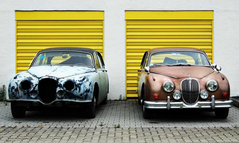 Modern Biophilic Office 2026