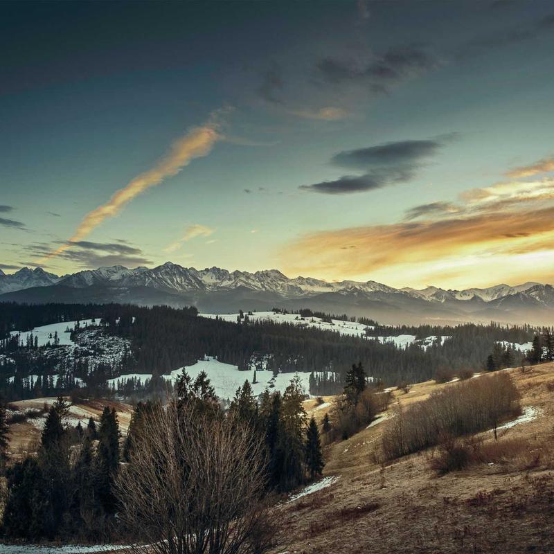 Bỉm sợi tre hữu cơ EcoSoft Platinum 2026 2