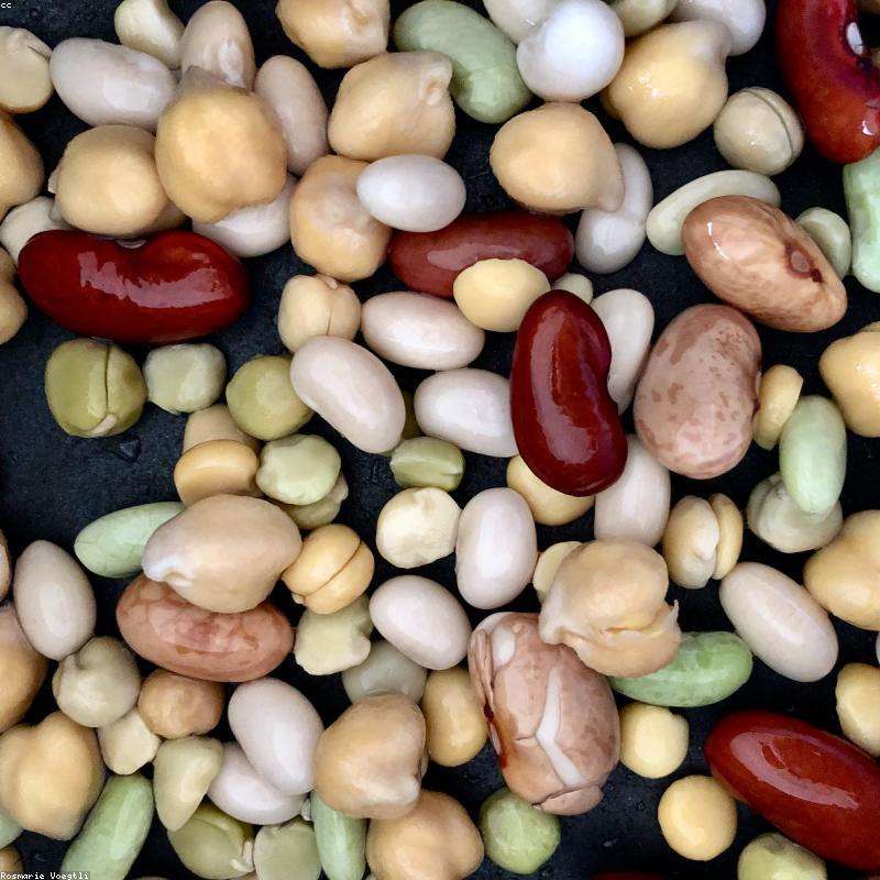 Arabica Cầu Đất Thượng Hạng