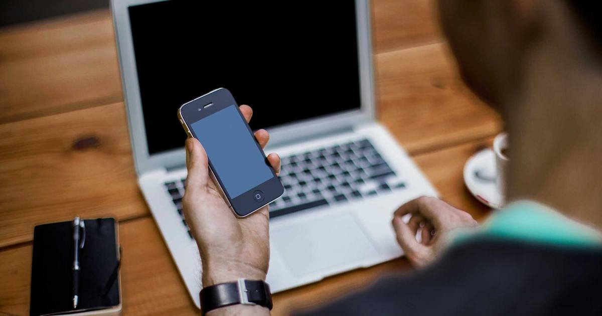 Top 5 xu hướng phụ kiện chó mèo cực hot năm 2024 bạn không nên bỏ lỡ