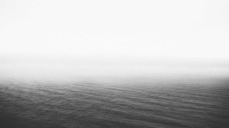 Biological Interface Wellness 2026