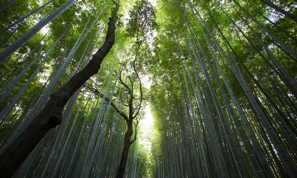 Kiểm tra dung dịch dinh dưỡng 2026